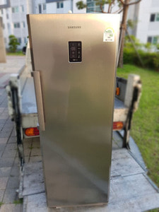삼성 냉동고(247L)